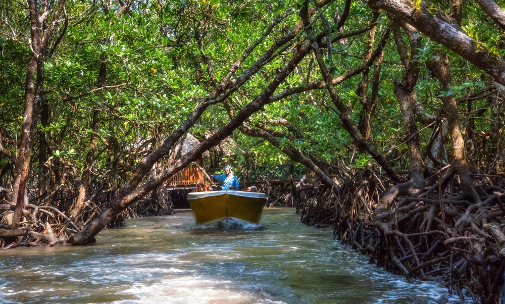 Bangkok Pattaya Phuket  FREE Phi Phi Island Excursion
